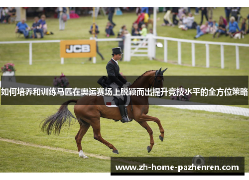 如何培养和训练马匹在奥运赛场上脱颖而出提升竞技水平的全方位策略 如何培养和训练马匹在奥运赛场上脱颖而出提升竞技水平的全方位策略