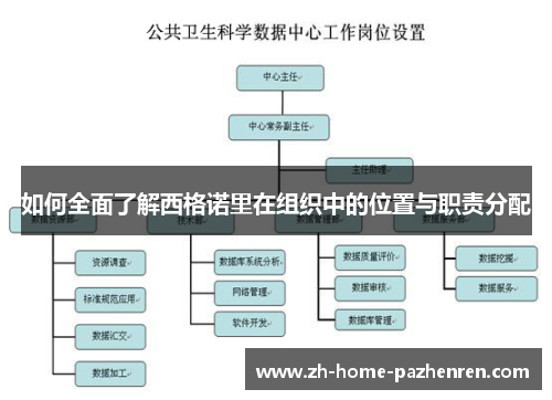 如何全面了解西格诺里在组织中的位置与职责分配 如何全面了解西格诺里在组织中的位置与职责分配