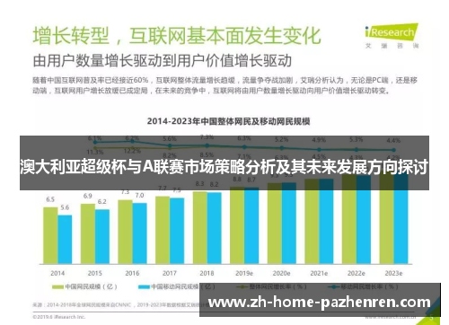 澳大利亚超级杯与A联赛市场策略分析及其未来发展方向探讨